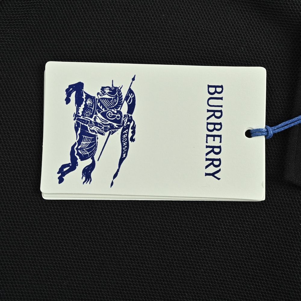 Burberry Polo(AAA)-017