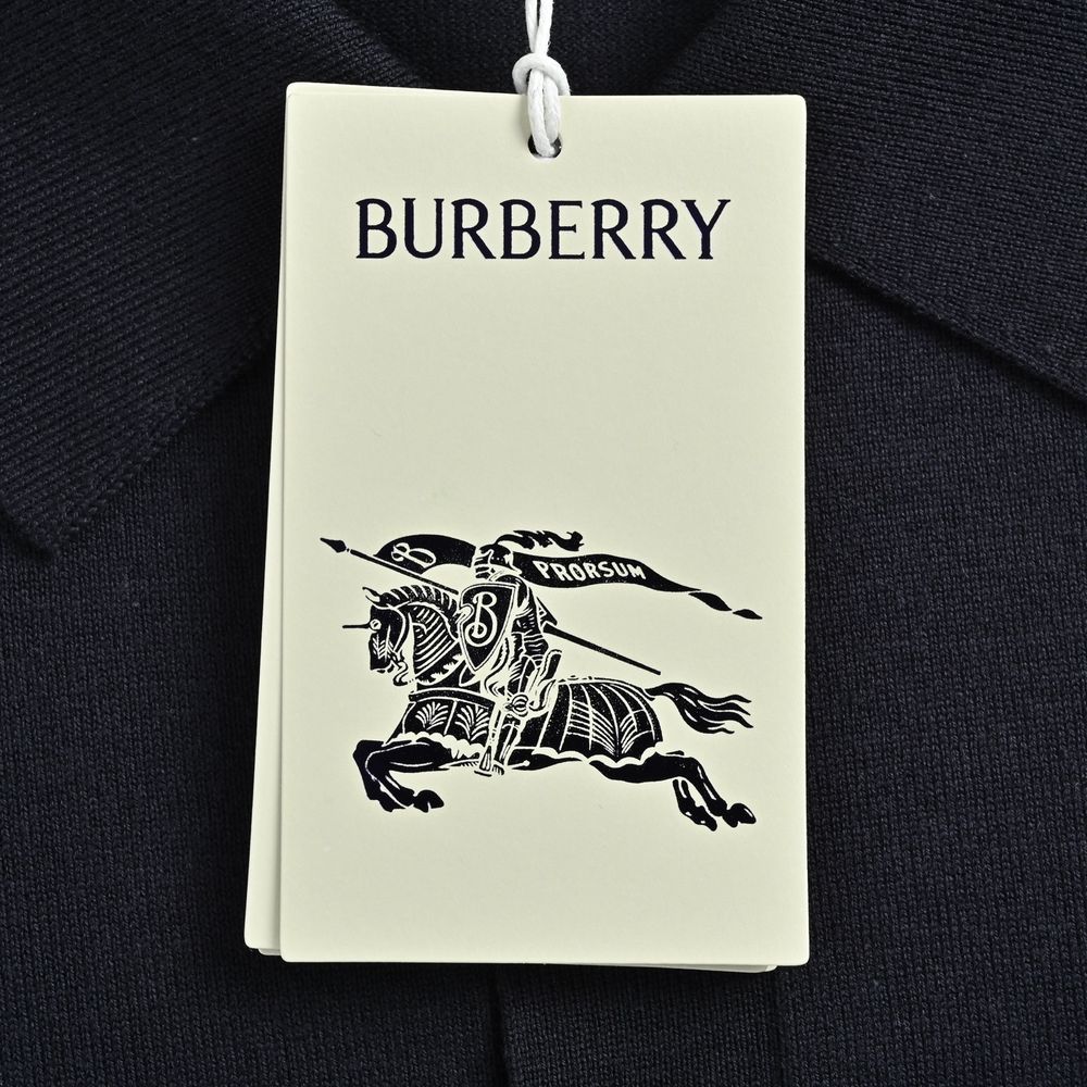 Burberry Polo(AAA)-083