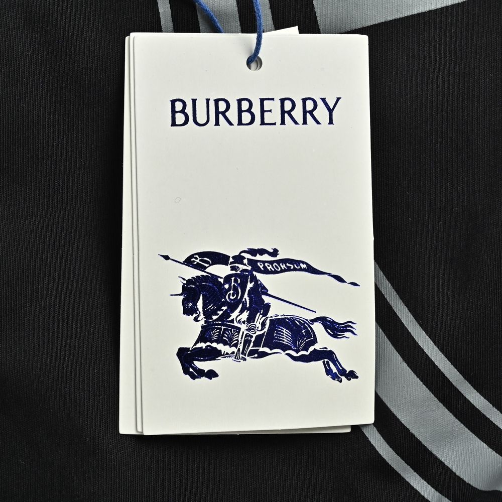 Burberry T-shirts-1249