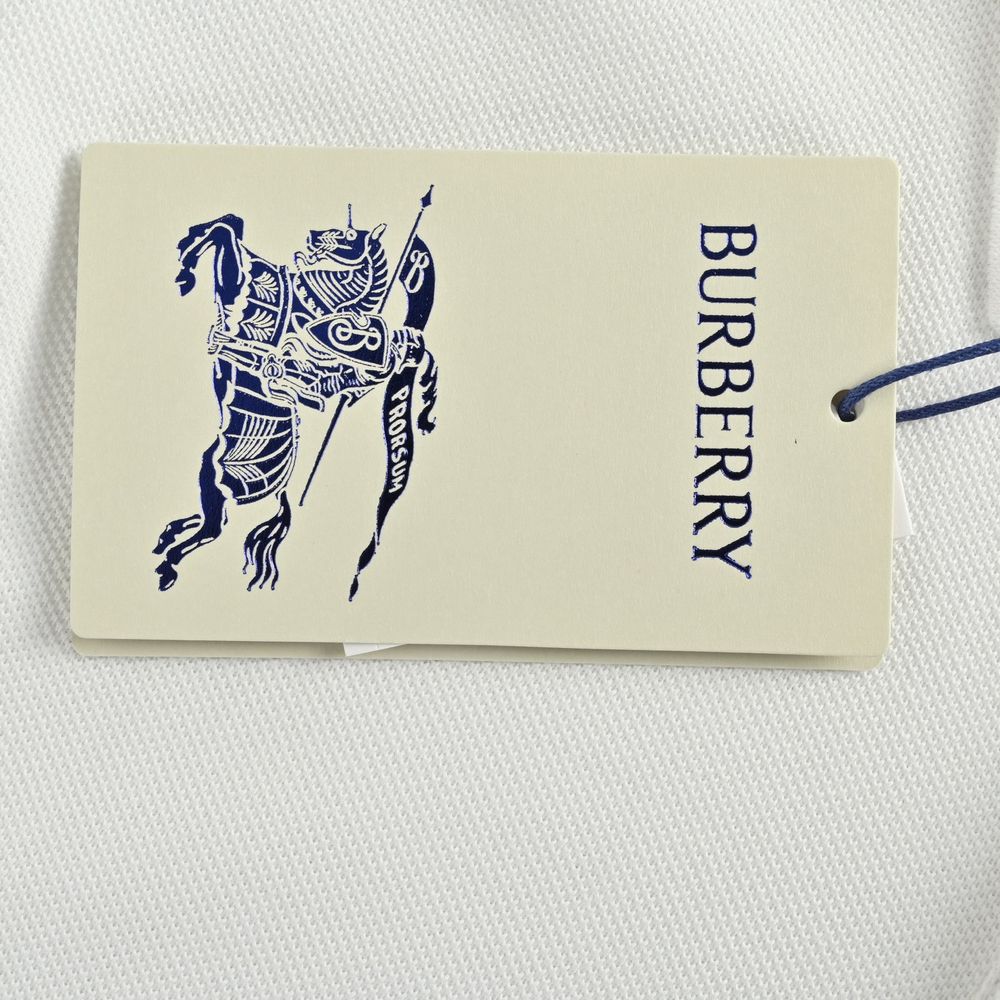 Burberry Polo(AAA)-019