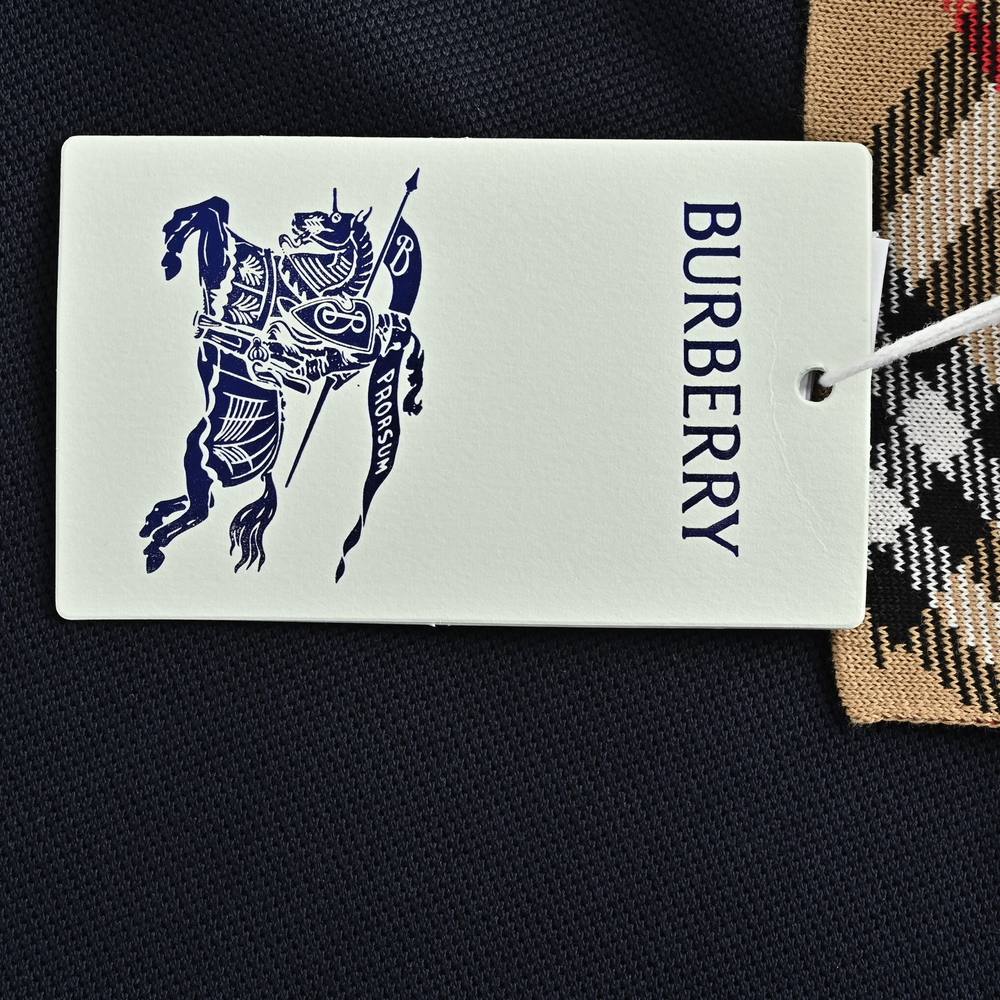 Burberry Polo(AAA)-070