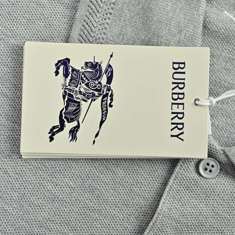 Burberry Polo(AAA)-038