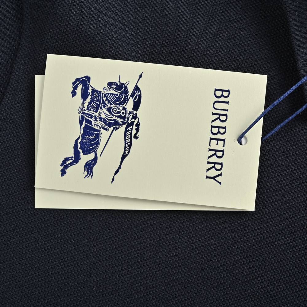 Burberry Polo(AAA)-020