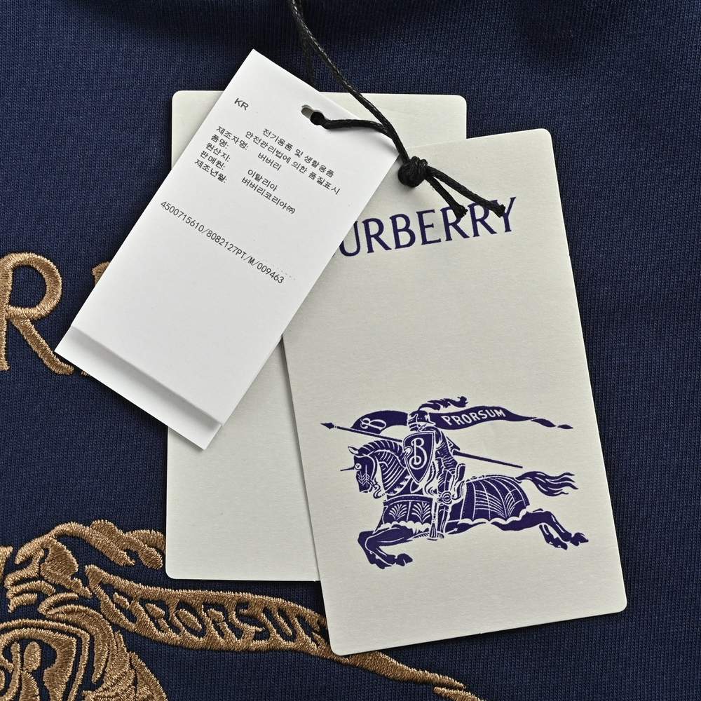 Burberry T-shirts-1096