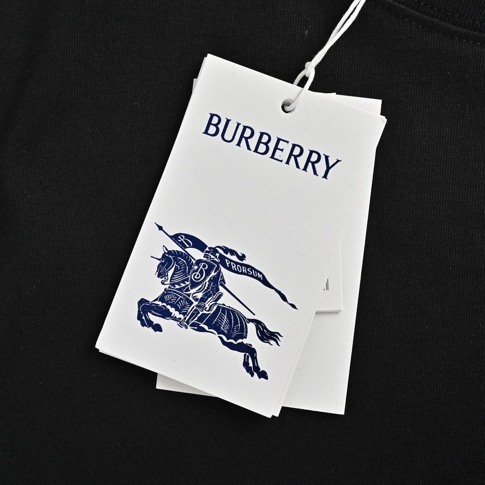 Burberry T-shirts-1065