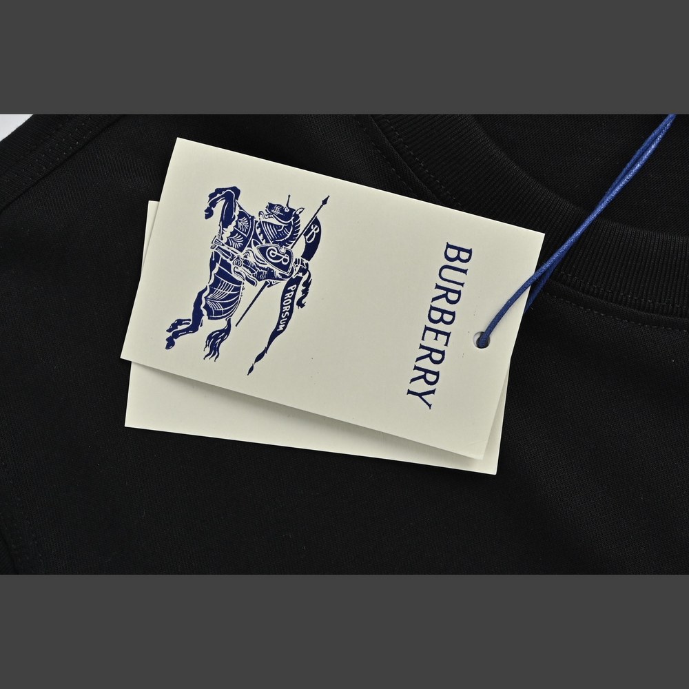 Burberry T-shirts-1238