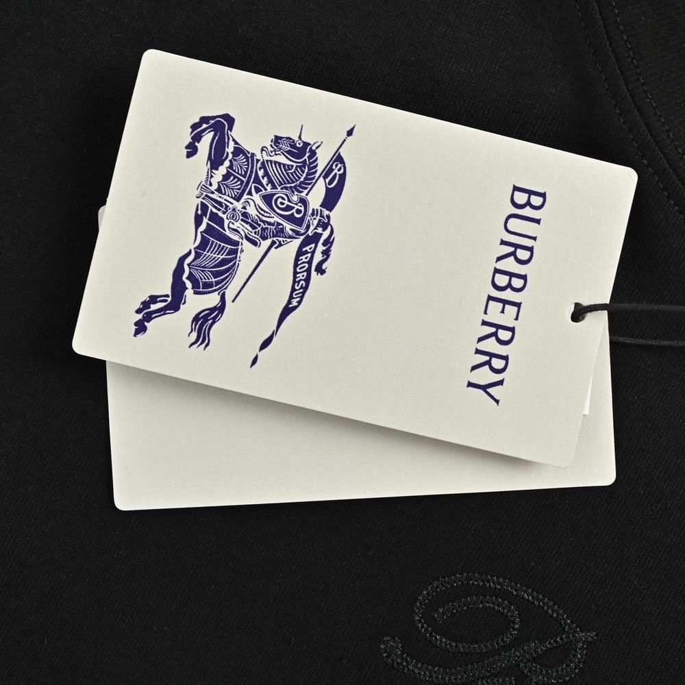 Burberry T-shirts-1125
