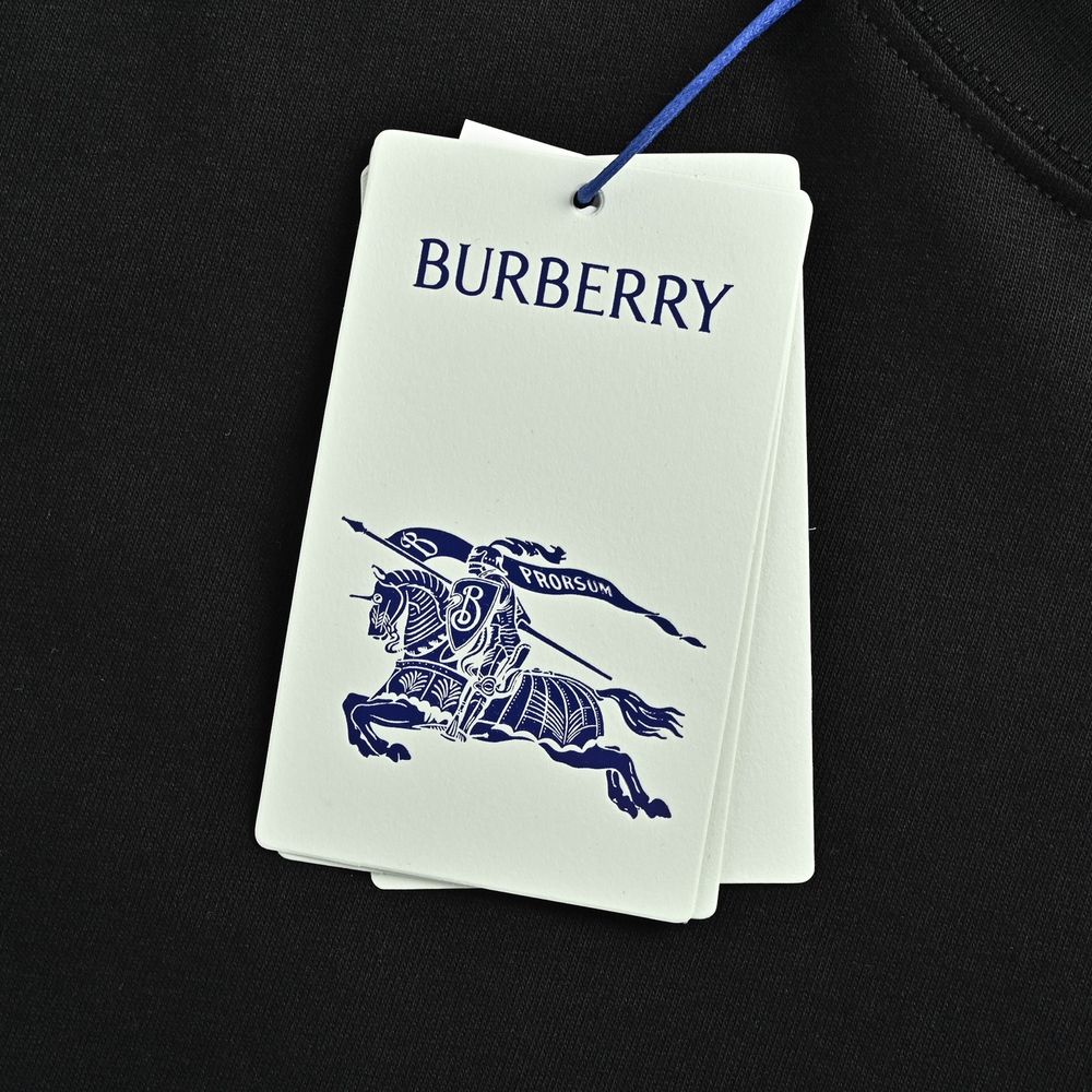 Burberry T-shirts-1258