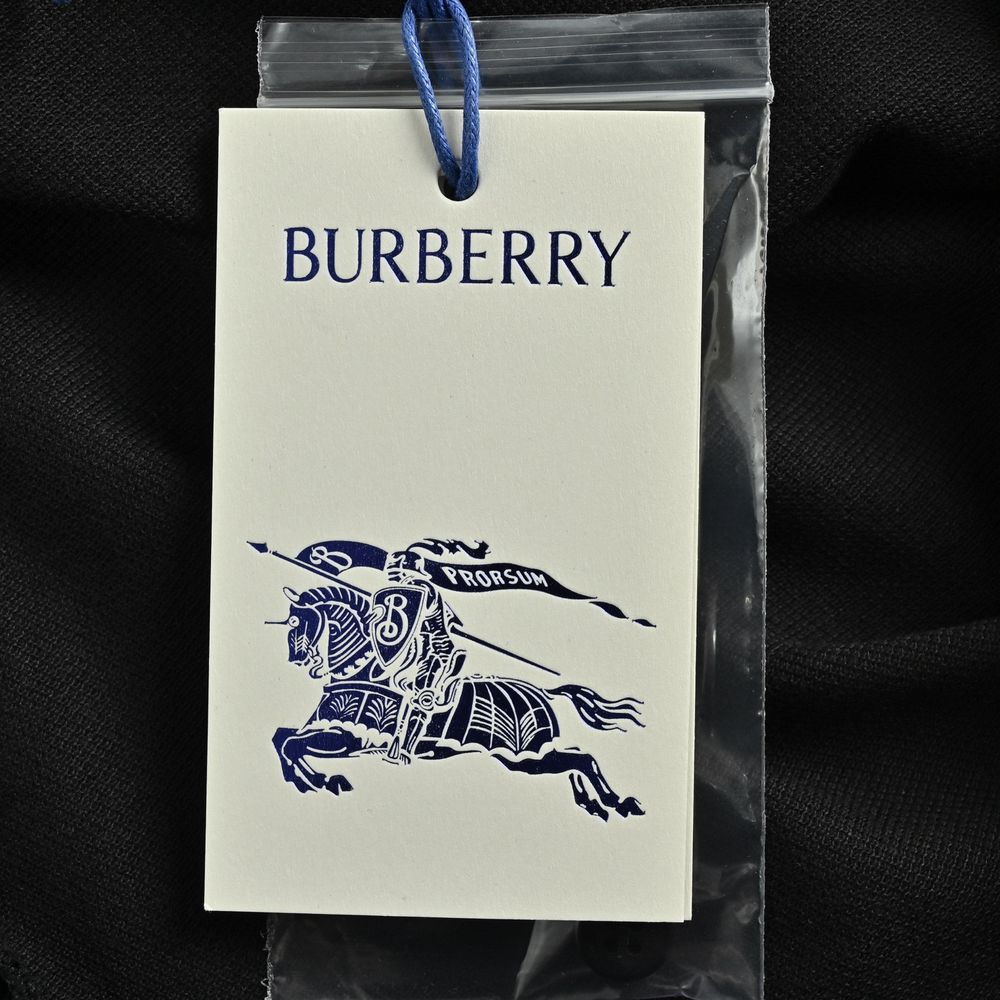 Burberry Polo(AAA)-013