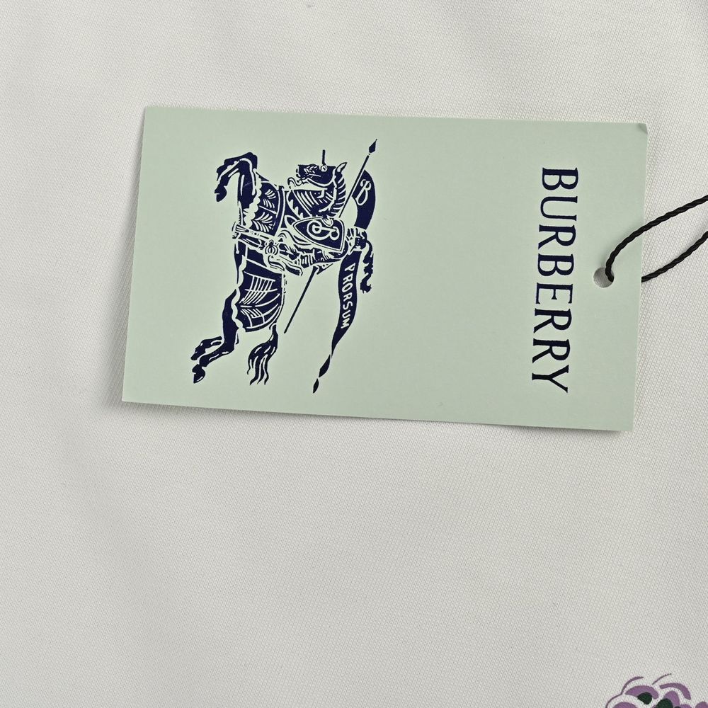Burberry T-shirts-1072