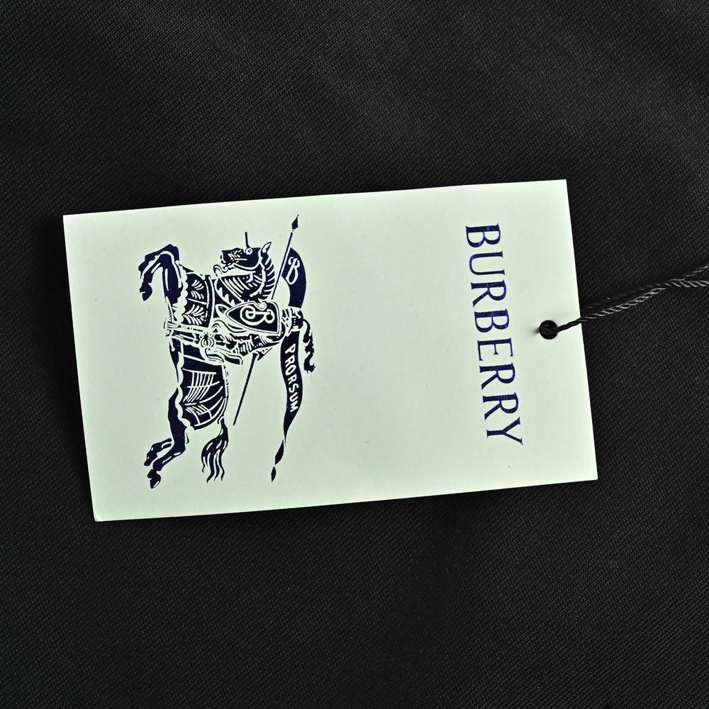 Burberry T-shirts-1086