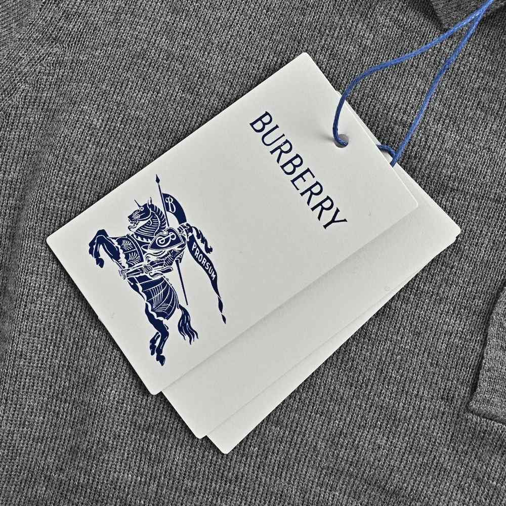 Burberry Polo(AAA)-076