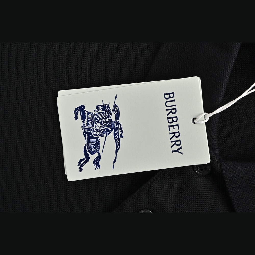 Burberry Polo(AAA)-007
