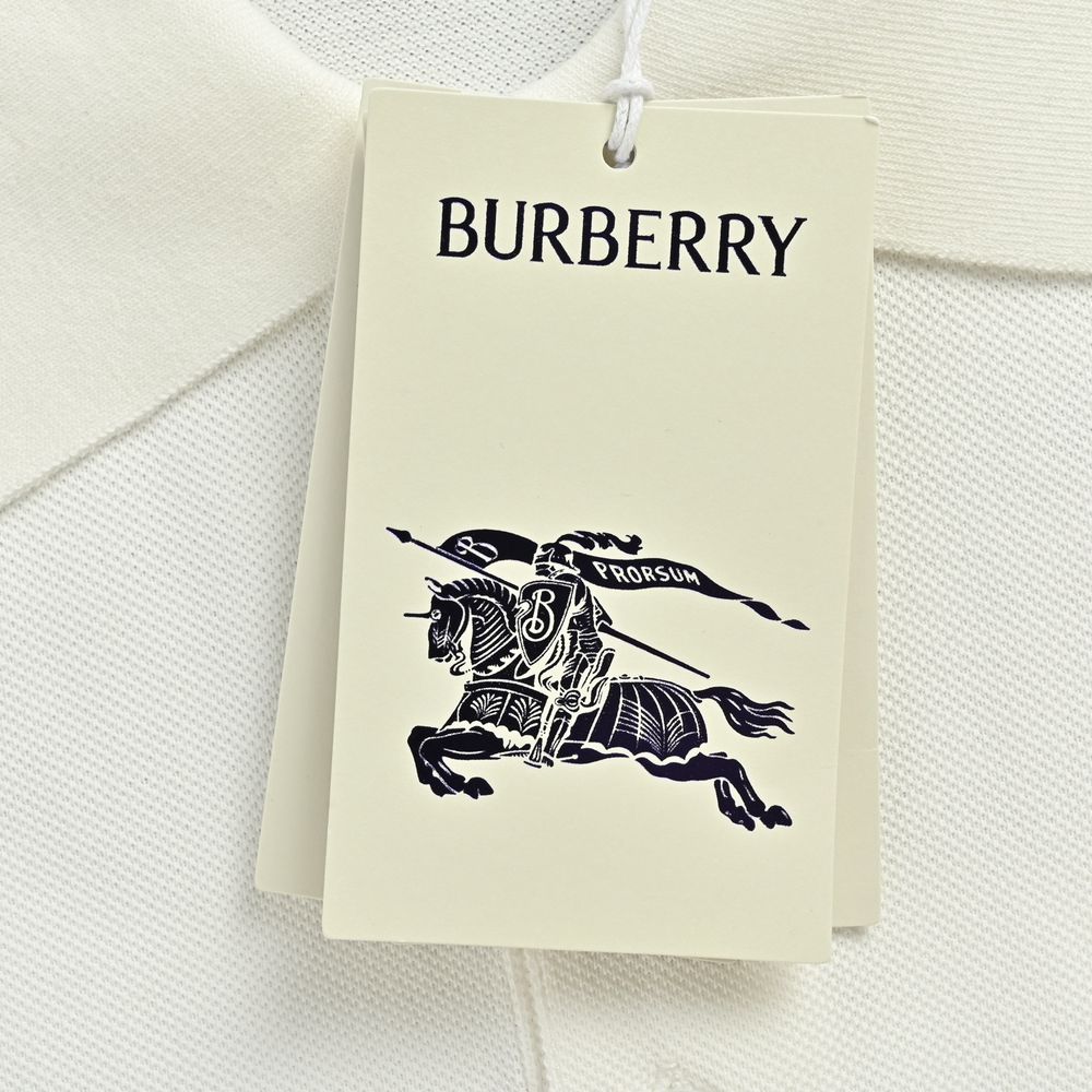 Burberry Polo(AAA)-035