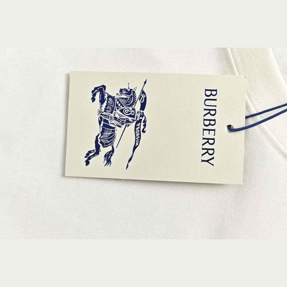 Burberry T-shirts-1239