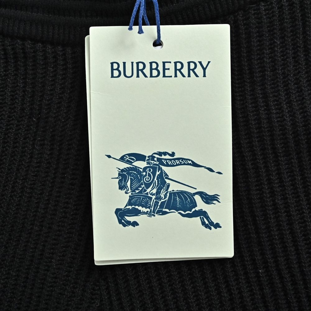 Burberry Shorts-189