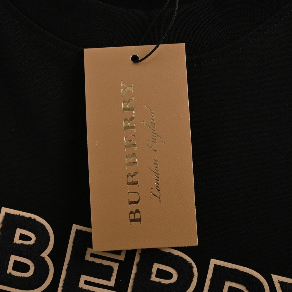 Burberry T-shirts-1076