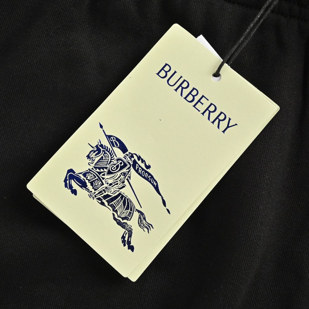 Burberry Pants-009