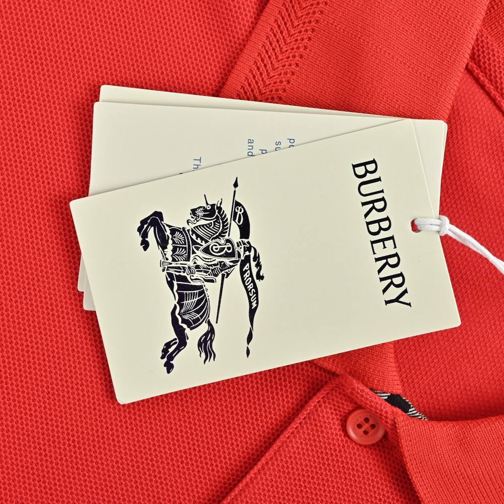Burberry Polo(AAA)-073