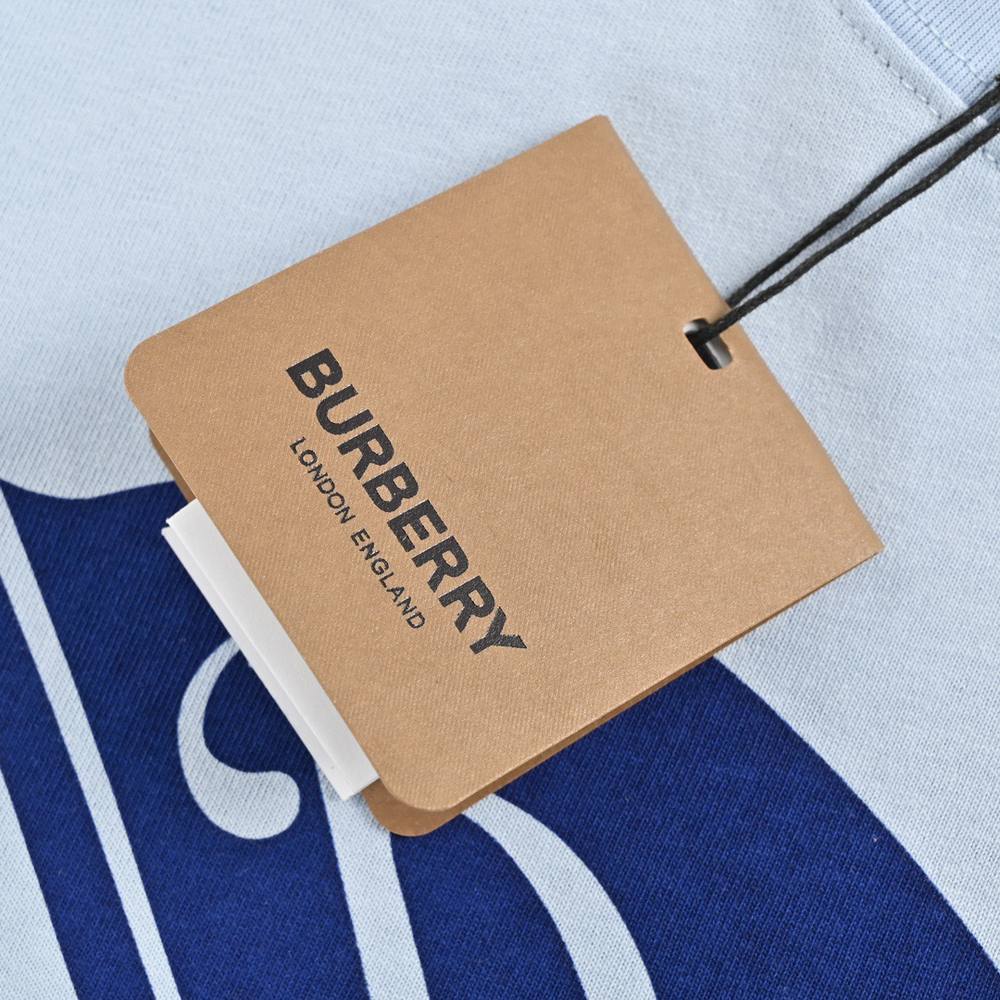 Burberry T-shirts-1054