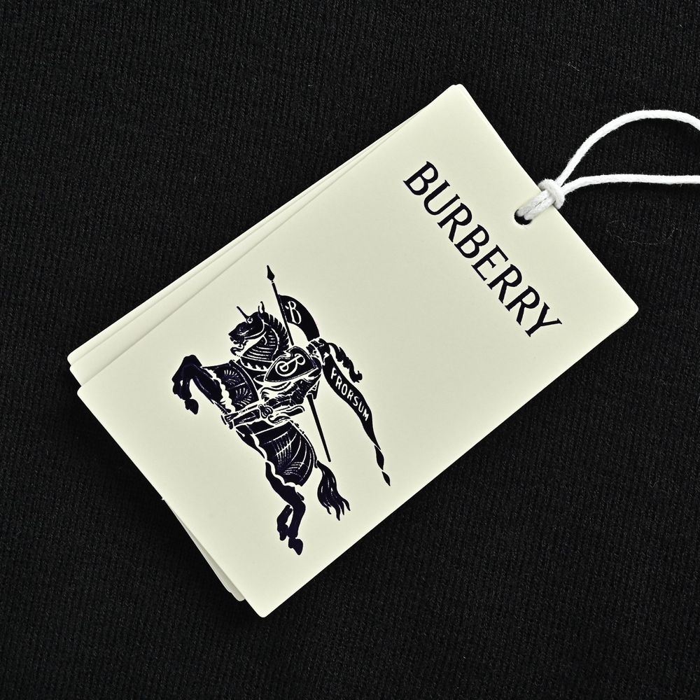 Burberry Polo(AAA)-079