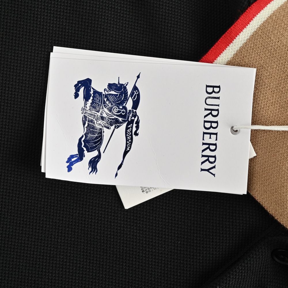 Burberry Polo(AAA)-009