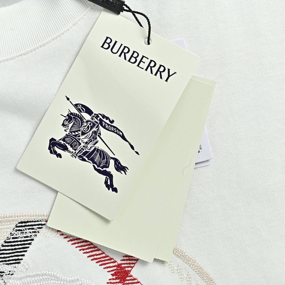 Burberry T-shirts-1184