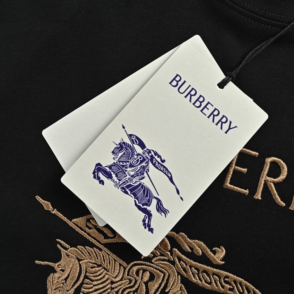 Burberry T-shirts-1095