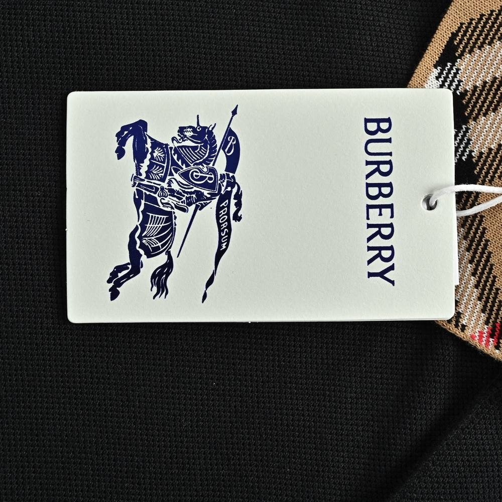 Burberry Polo(AAA)-069