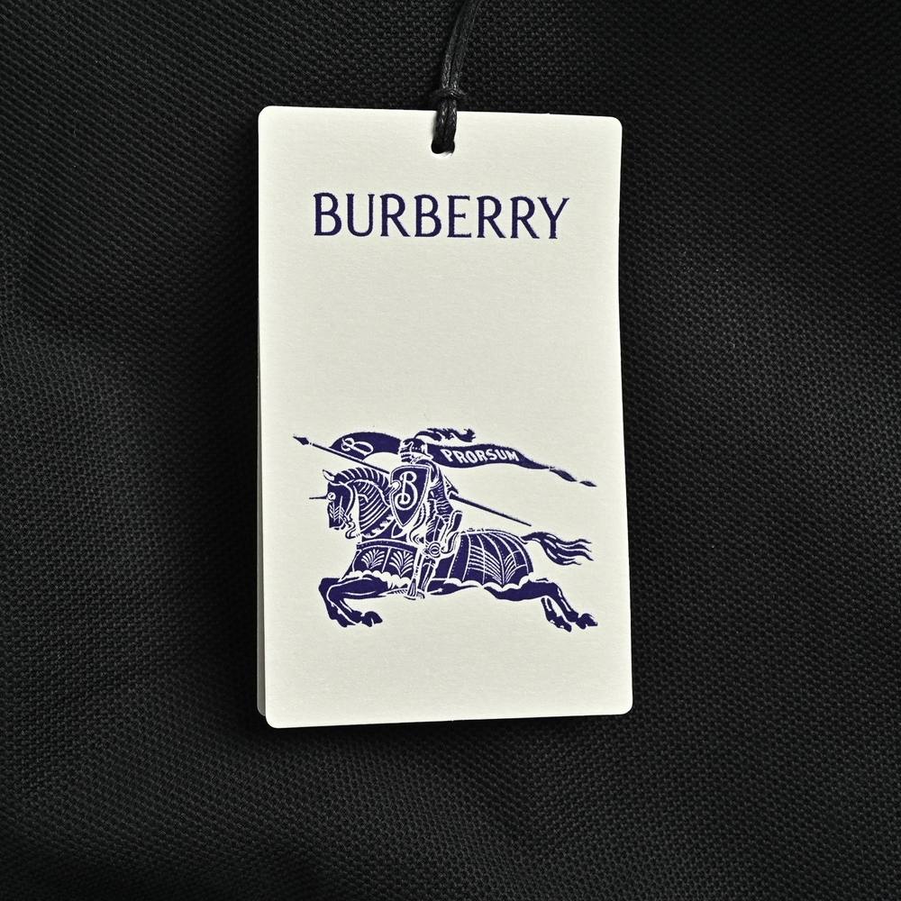 Burberry Polo(AAA)-021