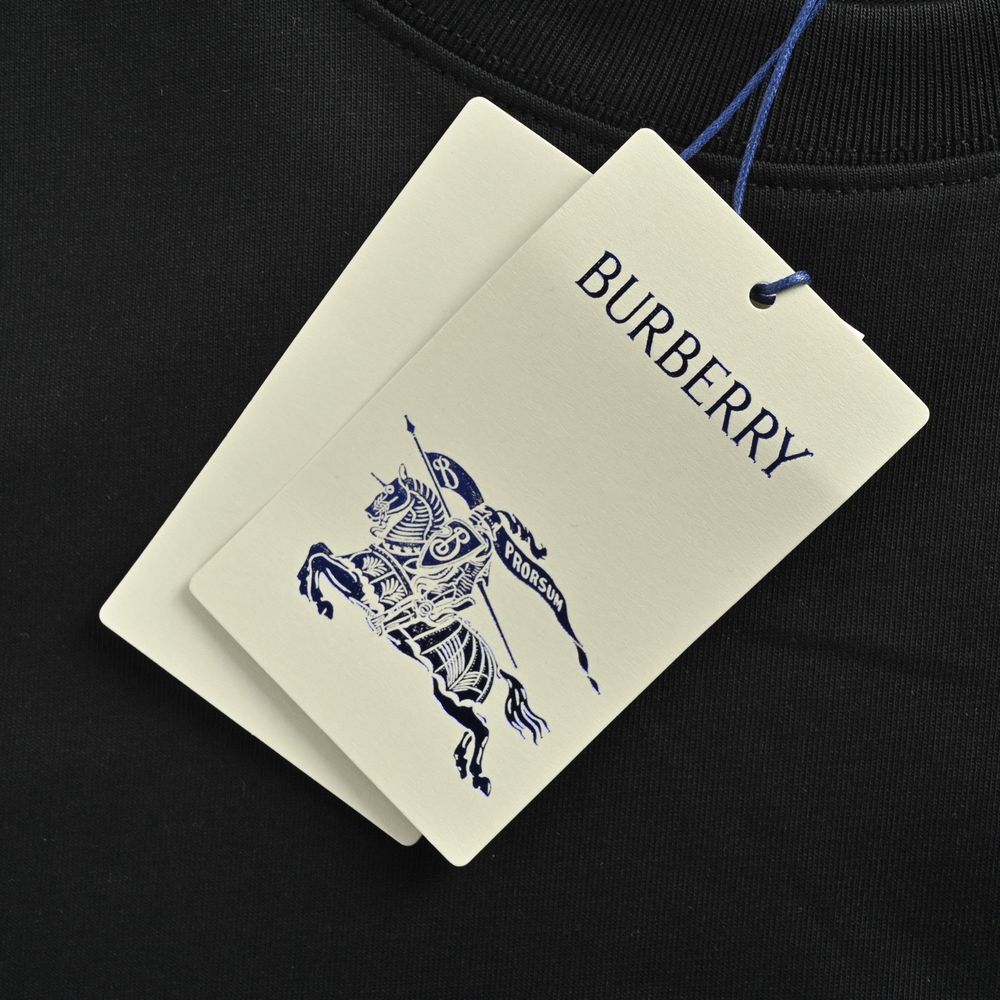 Burberry T-shirts-1069