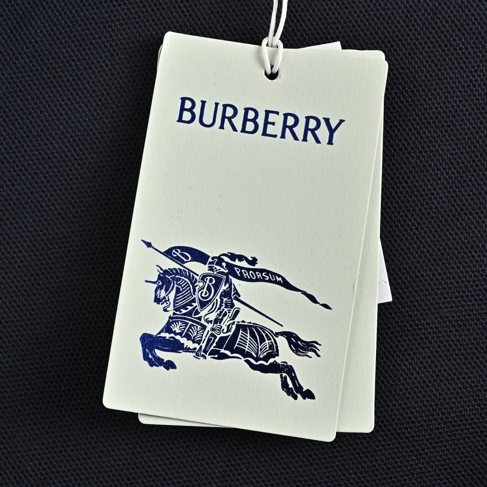 Burberry Polo(AAA)-094