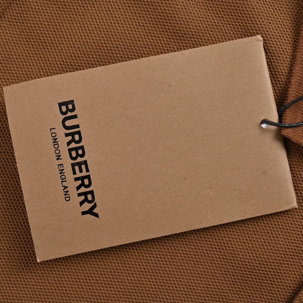 Burberry Polo(AAA)-066
