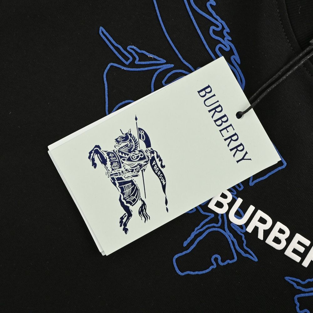 Burberry T-shirts-1084