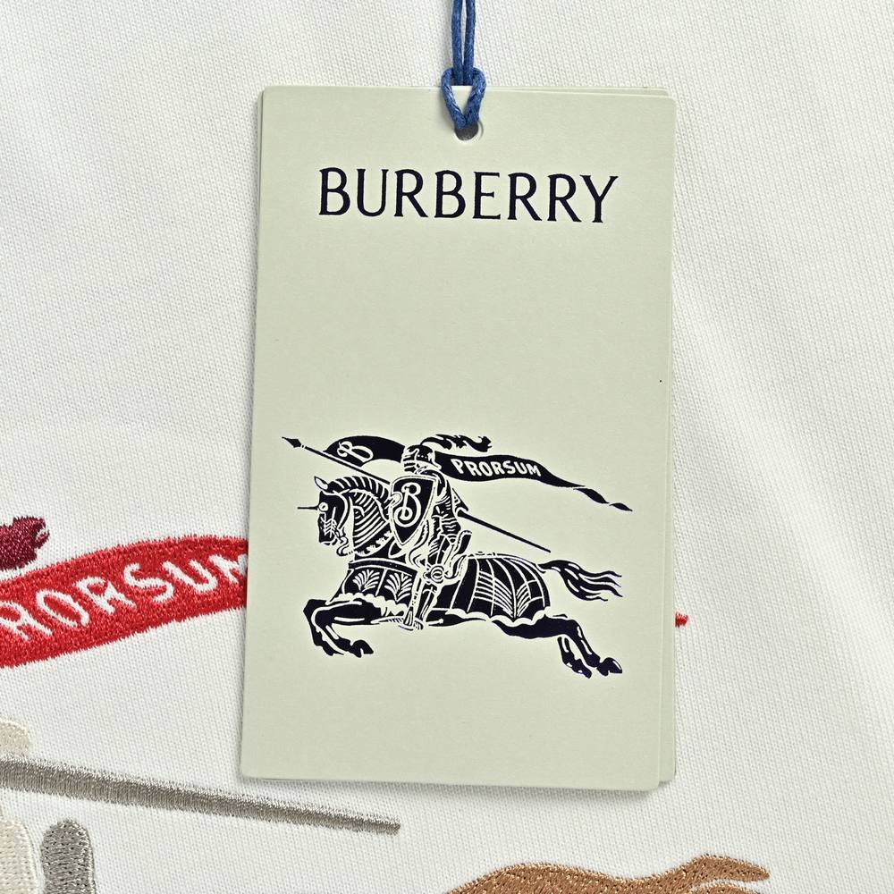 Burberry T-shirts-1193