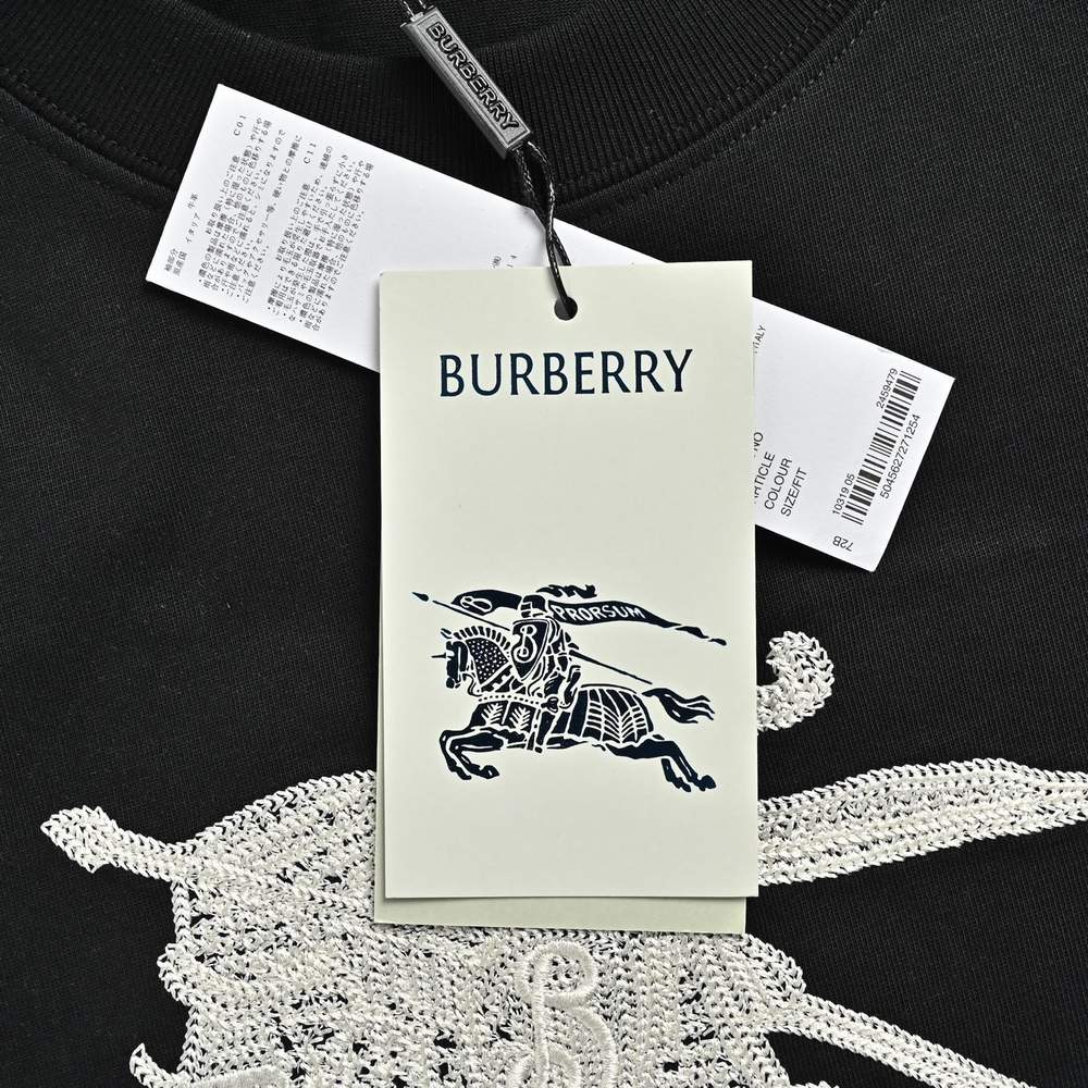 Burberry T-shirts-1107