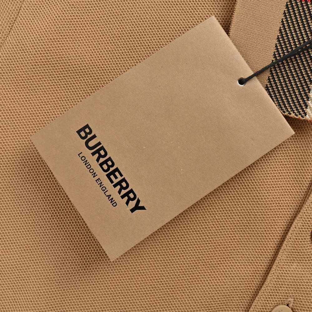 Burberry Polo(AAA)-006