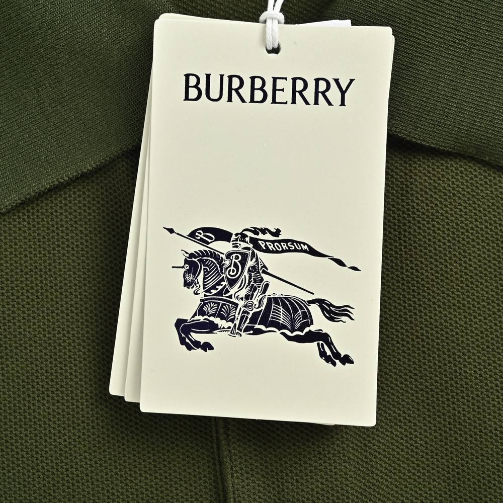 Burberry Polo(AAA)-031