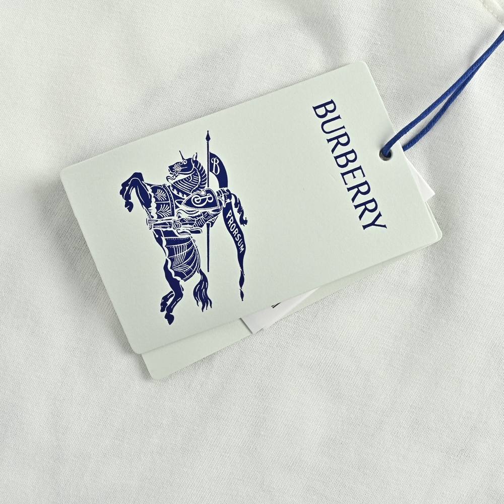 Burberry T-shirts-1260