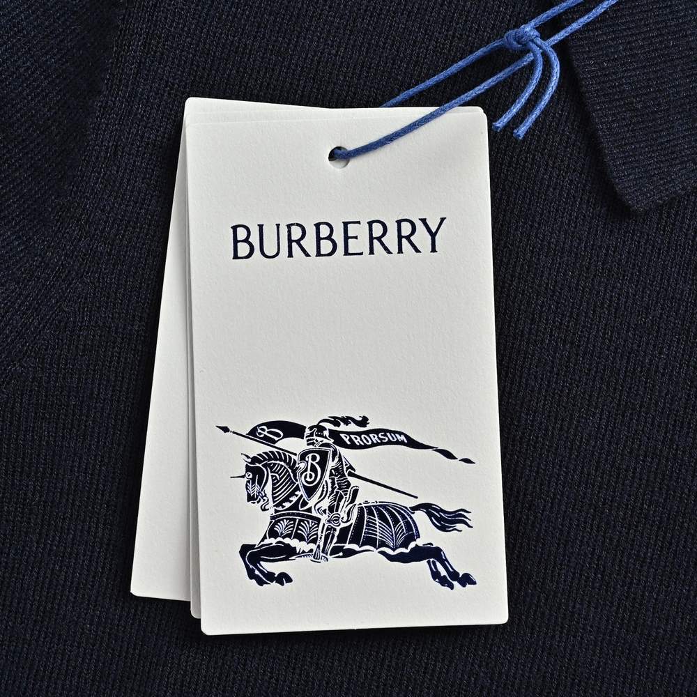 Burberry Polo(AAA)-075