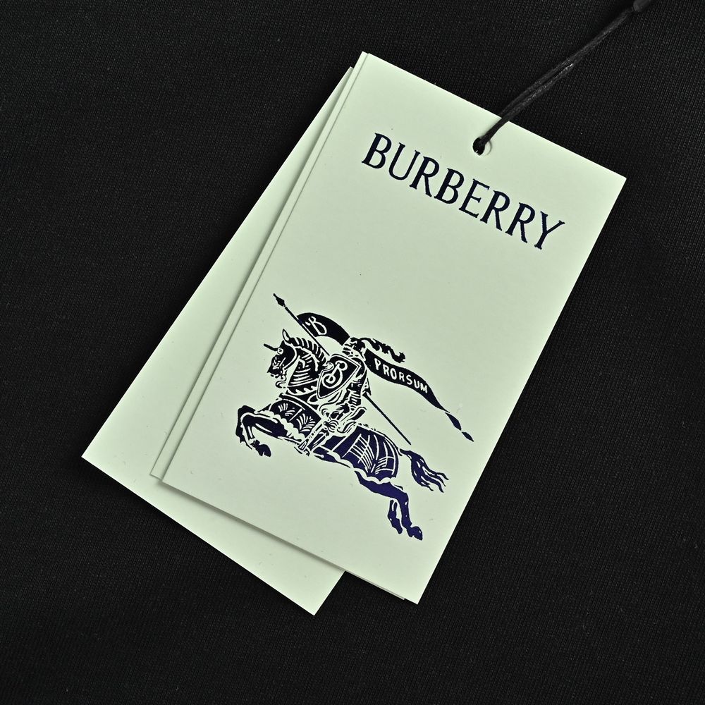 Burberry T-shirts-1139
