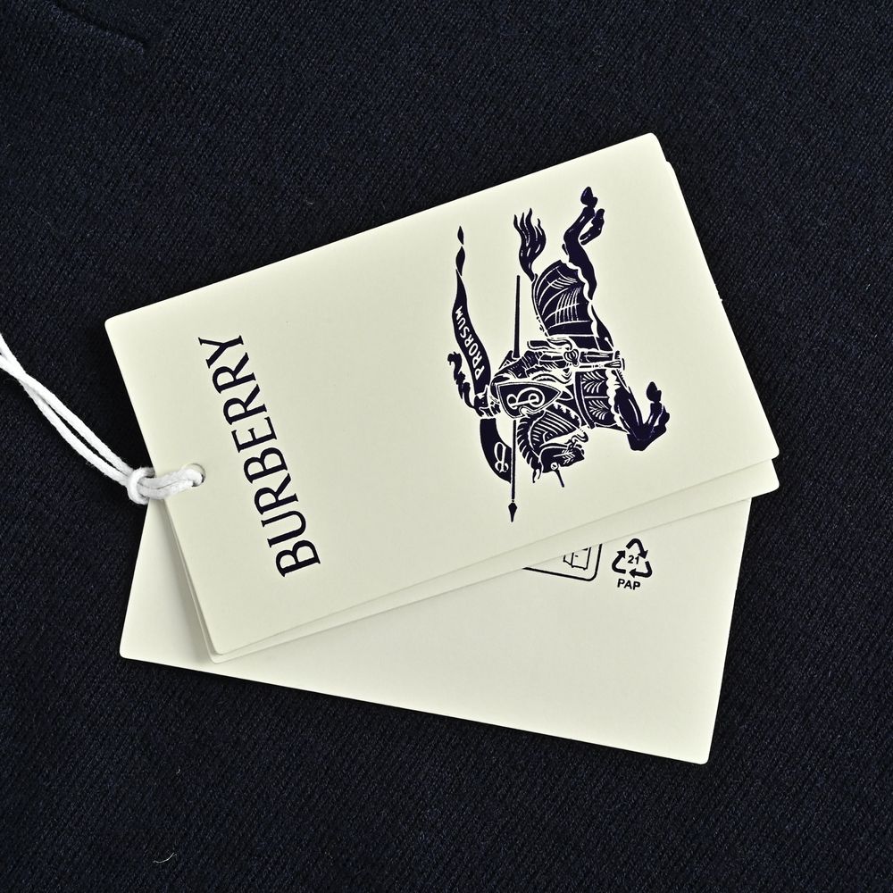 Burberry Polo(AAA)-080