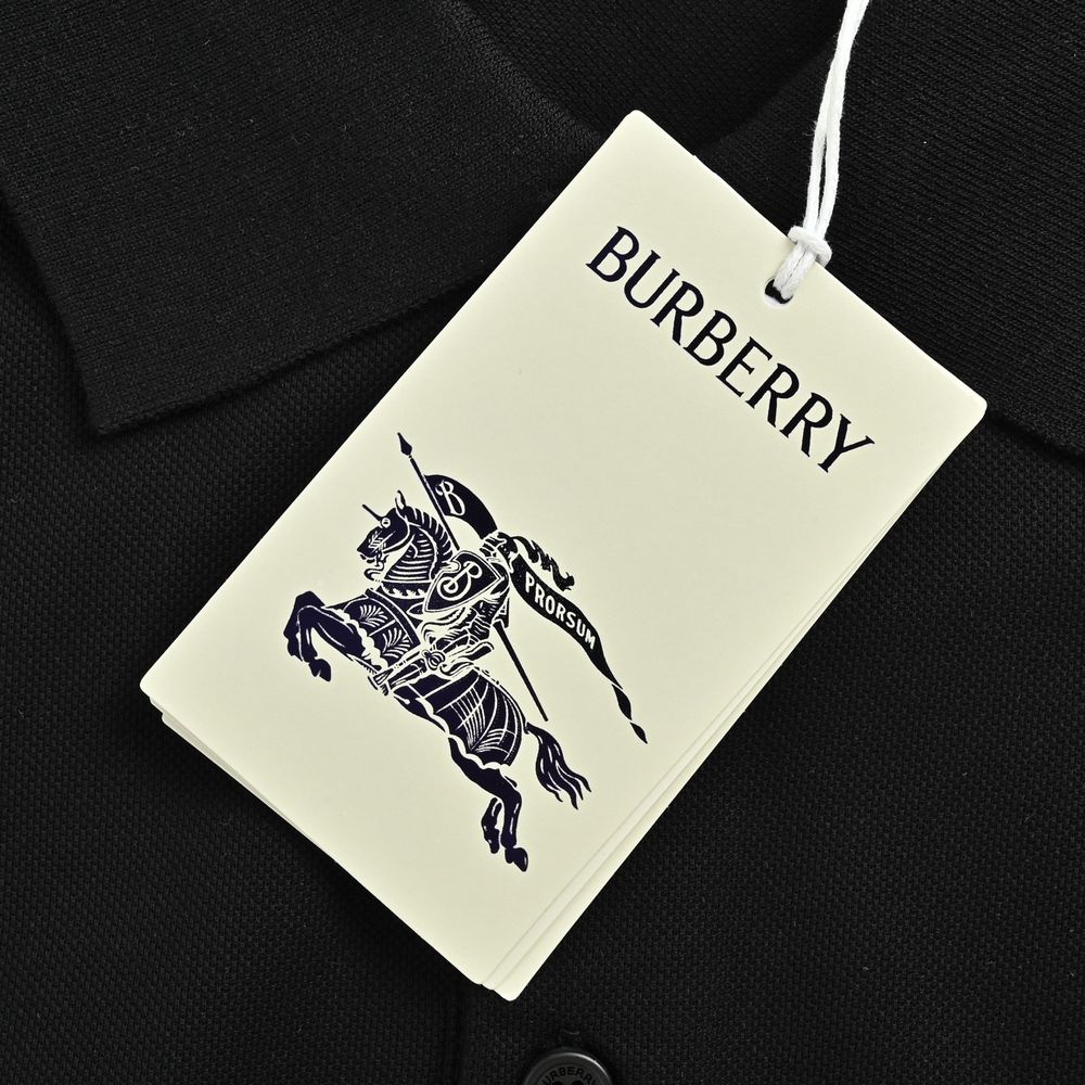 Burberry Polo(AAA)-030