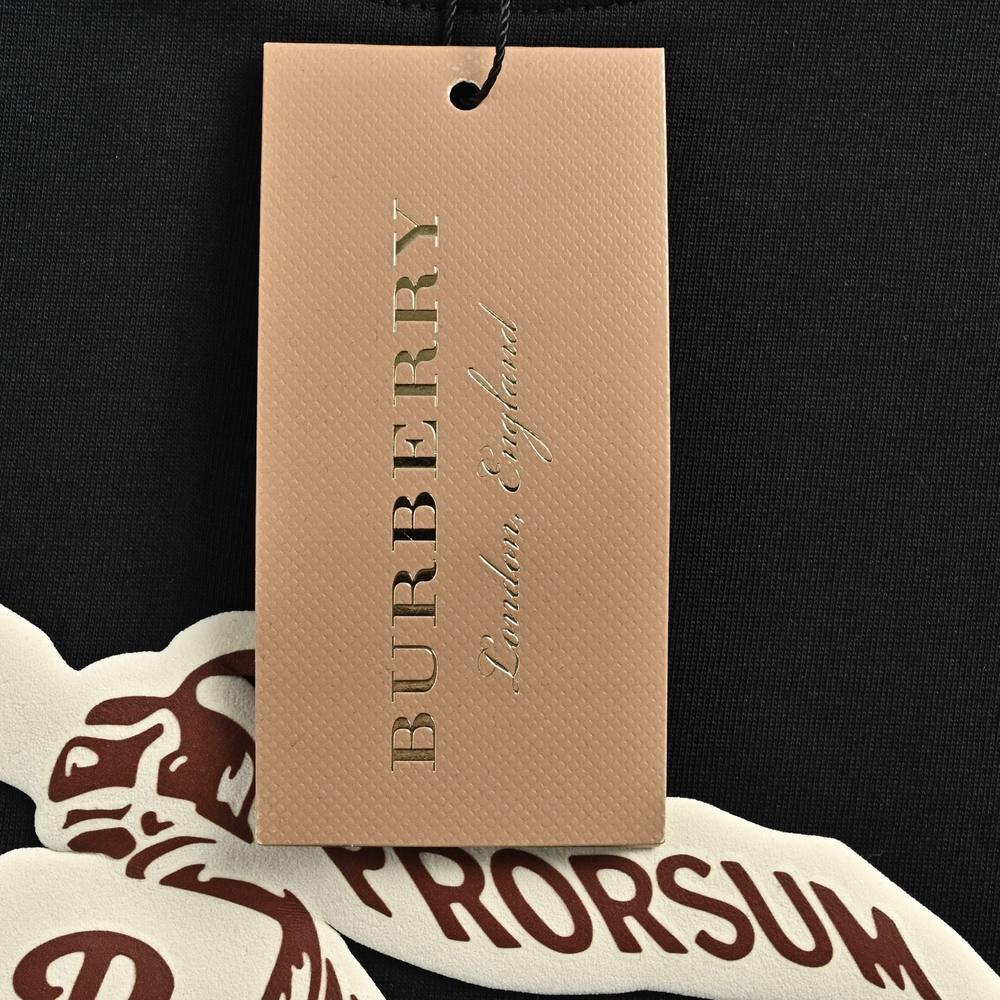 Burberry T-shirts-1087