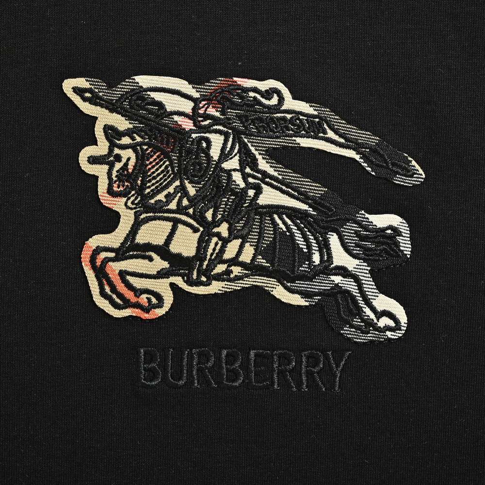 Burberry T-shirts-1099