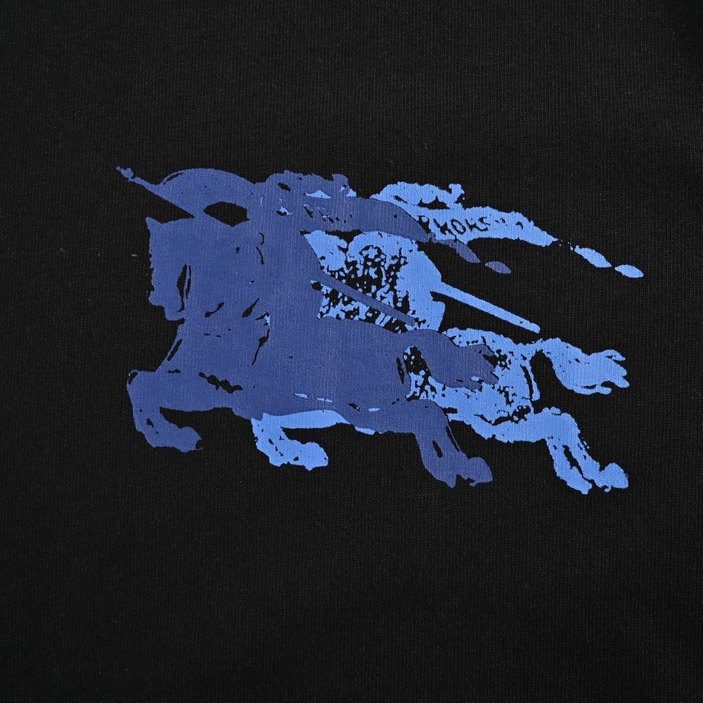 Burberry T-shirts-1065