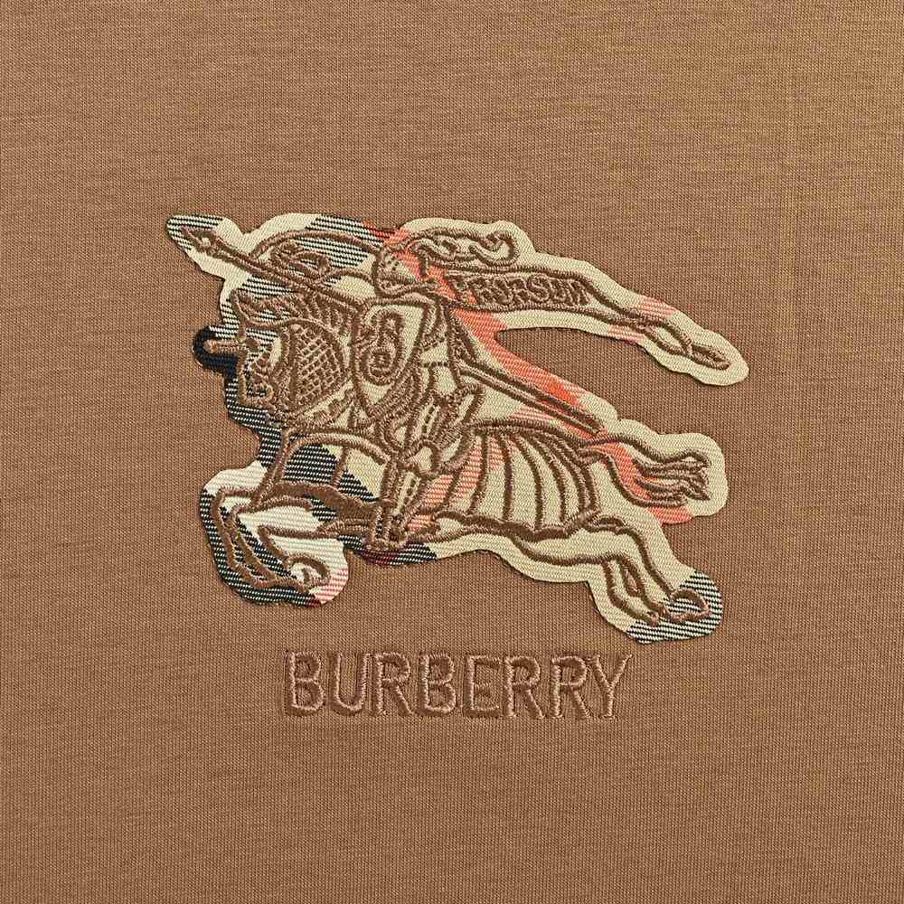 Burberry T-shirts-1100