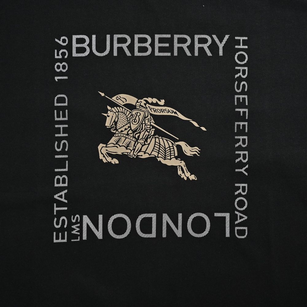 Burberry T-shirts-1131
