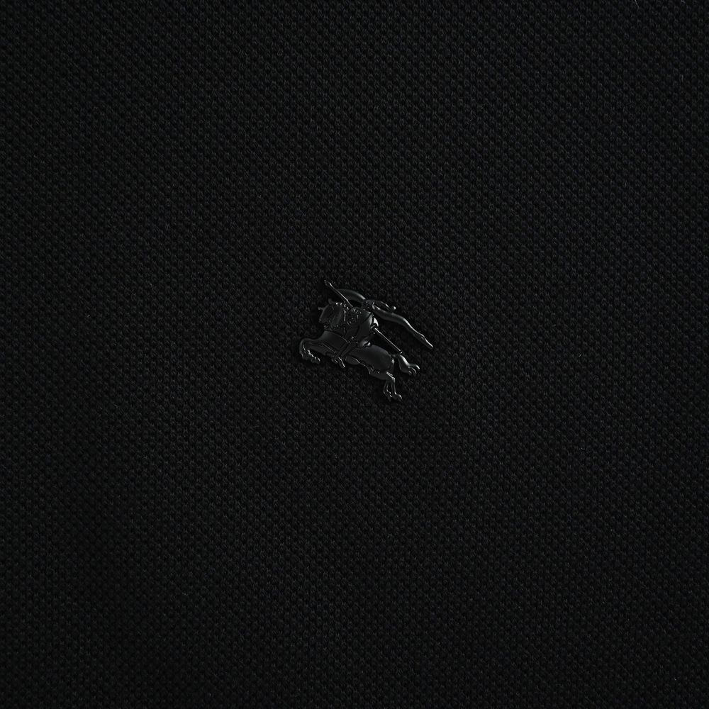 Burberry Polo(AAA)-062