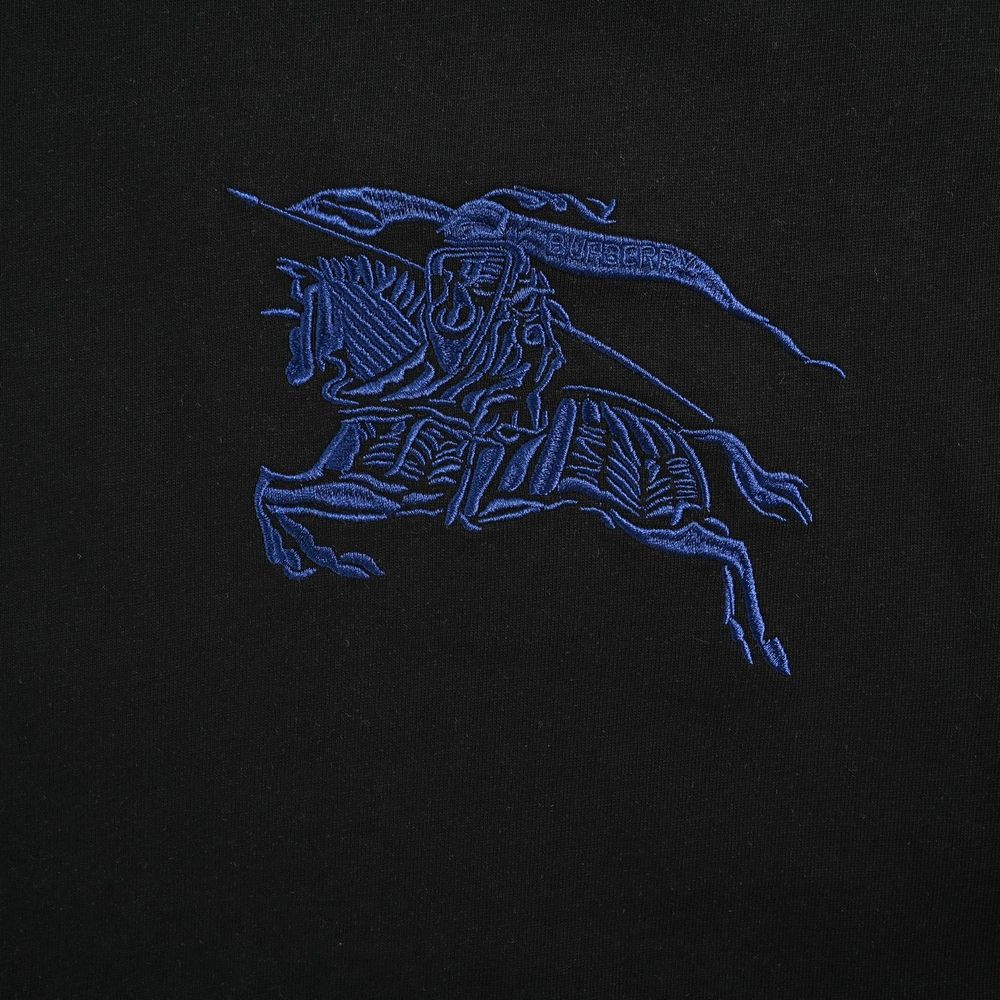 Burberry T-shirts-1093